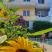 Villa Grafenberg, Privatunterkunft im Ort Ulcinj, Montenegro - IMG-4759b2f626b166e472963766ad50899c-V