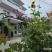 villa Grafenberg , privatni smeštaj u mestu Ulcinj, Crna Gora - 20250713_165853_7FsoEYX5Na